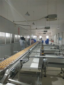 宜昌華爾食品公司榮獲食品示范企業(yè)稱號(hào)，引領(lǐng)餅干行業(yè)高質(zhì)量發(fā)展