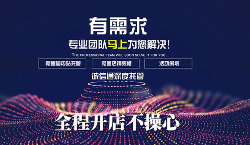 誠信通代運(yùn)營 一箭天集團(tuán) 在線咨詢 高清圖片 高清大圖